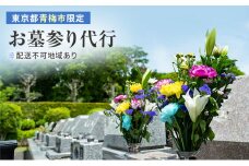 【寄付前に必ずご相談ください】お墓参り代行サービス[№5714-0284]