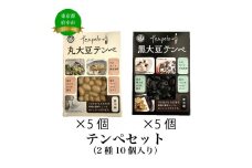 テンペセット（2種10個入り）