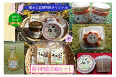 府中市郷土の森博物館オリジナル・梅商品詰め合わせセット