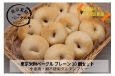 【定期便6か月】東京米粉ベーグル【毎日食べたい！プレーンベーグル10個】