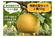 【コマキ農園】季節の梨セット（2種・5kg)