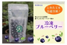【爺ヤンのブルーベリー畑】冷凍ブルーベリー