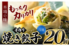メディアで話題！ ニンニク不使用 手作り 焼き餃子  ( 冷凍 ) 20個 【 手作り餃子の店 吉春 】 | 料理 食品 ぎょうざ ギョーザ 餃子 水餃子 冷凍餃子 人気 にんにく不使用 にんにくなし 食べ切り お惣菜 定番 もちもち つるつる お取り寄せ 豚肉 豚 小麦 北海道小麦 キャベツ にら しょうが 国産 グルメ 本場 麺点師 国領 調布 東京