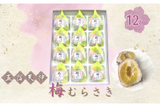 創業98年 五宿天神 梅むらさき 12個セット |  千代富 清風堂 菓子 銘菓 梅 求肥 白餡 紫蘇 和菓子 全日本和菓子大品評会「 技術賞 」 調布 東京