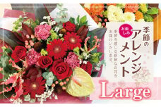 フラワー アレンジ 「Large」 お楽しみ 季節 の アレンジメント |  アレンジ タイプ 高さ約42cm 幅約40cm お花 flower フラワー ふらわー 花 はな リトルシード インテリア 植物 お任せ お見舞い ギフト お祝い 誕生日 親孝行 プレゼント贈り物 新鮮 調布  東京都