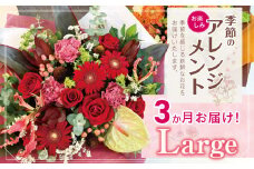 3か月 お届け お楽しみ！ 季節 の アレンジメント 「Large」 | アレンジ タイプ 高さ約42cm 横幅約40cm お花 flower フラワー ふらわー 花 はな リトルシード インテリア 植物 定期 定期便 お任せ お見舞い ギフト お祝い 誕生日 親孝行 プレゼント贈り物 新鮮 調布 東京都