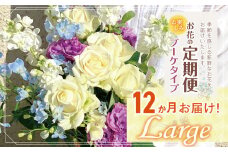 お楽しみ！12か月 お届け お花 の 定期便 「Large」 | ブーケ タイプ 高さ35-40cm 本数12-17本 flower フラワー ふらわー 花 はな リトルシード インテリア 植物 定期 お任せ お見舞い ギフト お祝い 誕生日 親孝行 プレゼント贈り物 新鮮 調布 東京都