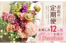 お楽しみ！ 12か月お届け お花の定期便「Premium」 | ブーケ タイプ 本数20本以上 お花 flower フラワー ふらわー 花 はな リトルシード インテリア 植物 定期便 定期 お任せ お見舞い ギフト お祝い 誕生日 親孝行 プレゼント贈り物 新鮮 調布 東京都