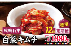 12回 定期便 成城石井 白菜キムチ 【徳用】 470g×4セット 1880g 計約22.5kg | キムチ 大根 にら ニラ 長ネギ 長葱 ネギ ねぎ 長ねぎ 国内産白菜 漬物 英陽 唐辛子 おすすめ お取り寄せ グルメ 調布東京都 定期