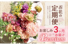 お楽しみ！ 3か月お届け お花の定期便「Premium」 | ブーケ タイプ 高さ50cm-55cm 本数20本以上 お花 flower フラワー ふらわー 花 はな リトルシード インテリア 植物 定期便 お任せ お見舞い ギフト お祝い 誕生日 親孝行 プレゼント贈り物 新鮮 調布  東京都