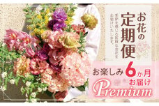 お楽しみ！ 6か月お届け お花の定期便「Premium」 | ブーケ タイプ 高さ50cm-55cm 本数20本以上 お花 flower フラワー ふらわー 花 はな リトルシード インテリア 植物 定期便 お任せ お見舞い ギフト お祝い 誕生日 親孝行 プレゼント贈り物 新鮮 調布 東京都