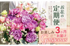 お楽しみ！ 3か月 お届け お花 の 定期便 「Gorgeous」 | ブーケ タイプ 高さ45cm-50cm 本数15-20本 flower フラワー ふらわー 花 はな リトルシード インテリア 植物 定期 お任せ お見舞い ギフト お祝い 誕生日 親孝行 プレゼント贈り物 新鮮 調布 東京都