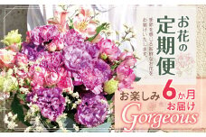 お楽しみ！ 6か月 お届け お花 の 定期便 「Gorgeous」 |  ブーケ タイプ 高さ45cm-50cm 本数15-20本 flower フラワー ふらわー 花 はな リトルシード インテリア 植物 定期 お任せ お見舞い ギフト お祝い 誕生日 親孝行 プレゼント贈り物 新鮮 調布 東京都