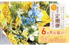お楽しみ！ 6か月 お届け お花の定期便 「Medium」 | ブーケ タイプ 本数7-10本 高さ20-22cm お花 flower フラワー ふらわー 花 はな リトルシード インテリア 植物 定期便 お任せ お見舞い ギフト お祝い 誕生日 親孝行 プレゼント贈り物 新鮮  調布 東京都 定期便 定期