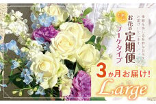 お楽しみ！3か月 お届け お花 の 定期便 「Large」 | ブーケ タイプ 高さ35-40cm 本数12-17本 flower フラワー ふらわー 花 はな リトルシード インテリア 植物 定期 お任せ お見舞い ギフト お祝い 誕生日 親孝行 プレゼント贈り物 新鮮 調布 東京都