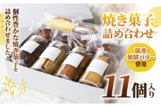 焼き菓子 詰め合わせ 11個入り |   Minifilm 株式会社スリラボ フィナンシエ 国産 発酵バター 焦がしバター アールグレイ クルミ チョコレート ヘーゼルナッツ ココナッツ オランジュ ふんわり しっとり オレンジ パウンドケーキ フロランタン サクサク キャラメル 胡麻 バニラ クッキー サブレ 焦がし醤油 アーモンド フロマージュ チーズ 胡椒 ショコラ こだわり  調布 東京都