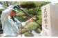 お参りする方のお気持ちを尊び、経験豊かなスタッフが丁寧に対応、作業します。