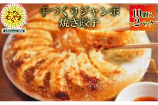 ジャンボ焼き餃子 10個×2パック【1295867】