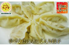 水餃子(にんにく入り)14個×2パック【1295869】