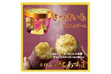 ＜東村山産紅あずま＞東村山アイスクリーム　さつまいも6個セット【1530834】