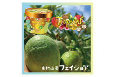 ＜東村山産フェイジョア使用＞東村山アイスクリーム　トロピカル6個セット【1530899】
