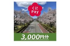 国立市デジタル地域通貨『くにPay』3,000ポイント【1582539】
