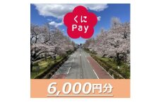 国立市デジタル地域通貨『くにPay』6,000ポイント【1587148】