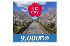 国立市デジタル地域通貨『くにPay』9,000ポイント【1587149】