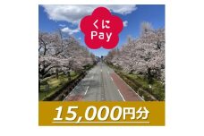 国立市デジタル地域通貨『くにPay』15,000ポイント【1587150】