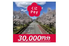 国立市デジタル地域通貨『くにPay』30,000ポイント【1587151】