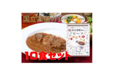 30種のスパイスを使用した国立薬膳カレービーフ　200g×10食セット　小麦粉・ラード不使用【1583824】