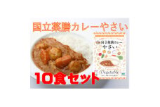 30種のスパイスを使用　国立薬膳カレーやさい　200g×10食セット　小麦粉・ラード不使用【1584735】