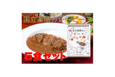 30種のスパイスを使用した国立薬膳カレービーフ　200g×5食セット　小麦粉・ラード不使用【1608900】