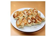 自家製餃子  32g×20個 1パック【1625546】