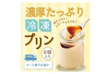 冷凍・濃厚たっぷりプリン6本セット【1628799】