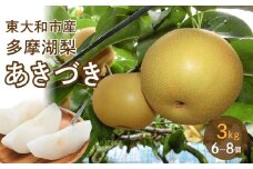 【先行予約】東大和の恵み【甘みぎっしり『多摩湖梨（あきづき）』】