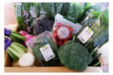 旬の清瀬産東京野菜（清瀬産の野菜など8品から10品の詰め合わせ）