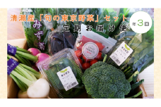 清瀬市産「旬の東京野菜」セット定期お届け便（年３回）