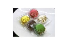 生チョコマカロン　お任せ10個セット【1561514】