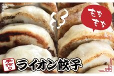 No.040 ライオン餃子（冷凍ジャンボ餃子） ／ ぎょうざ おかず 手作り 東京都