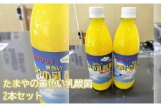 No.100 たまやの黄色い乳酸菌　500ml　2本セット ／ 液体エサ 冬用 ビタミンB群 東京都