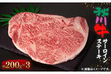 ＜黒毛和牛＞秋川牛サーロインステーキ〔200g相当×3枚〕【1396903】