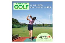 東京サマーランド ゴルフ練習場 ご招待券【1391290】