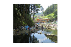 秋川国際マス釣場＜D:ルアー釣り券＞【1392956】