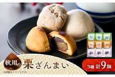 秋川の栗三昧(9個入)＜お茶ぞっぺの中島屋(あきる野の匠)＞【1509589】