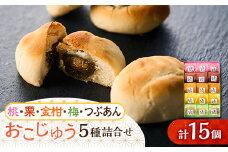 おこじゅう詰め合わせ(15個入)＜お茶ぞっぺの中島屋(あきる野の匠)＞【1509832】