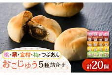 おこじゅう詰め合わせ(20個入)＜お茶ぞっぺの中島屋(あきる野の匠)＞【1509833】