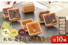 秋川のとうもろこし最中(10個入)＜お茶ぞっぺの中島屋(あきる野の匠)＞【1508506】