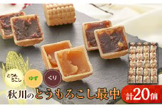 秋川のとうもろこし最中(20個入)＜お茶ぞっぺの中島屋(あきる野の匠)＞【1508511】