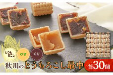 秋川のとうもろこし最中(30個入)＜お茶ぞっぺの中島屋(あきる野の匠)＞【1508516】